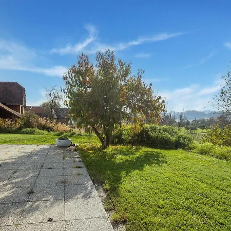 Holiday On A Farm Near F Rstenfeld With A Terrace 아파트 로이페어스도르프 바이 퓌르스텐펠트